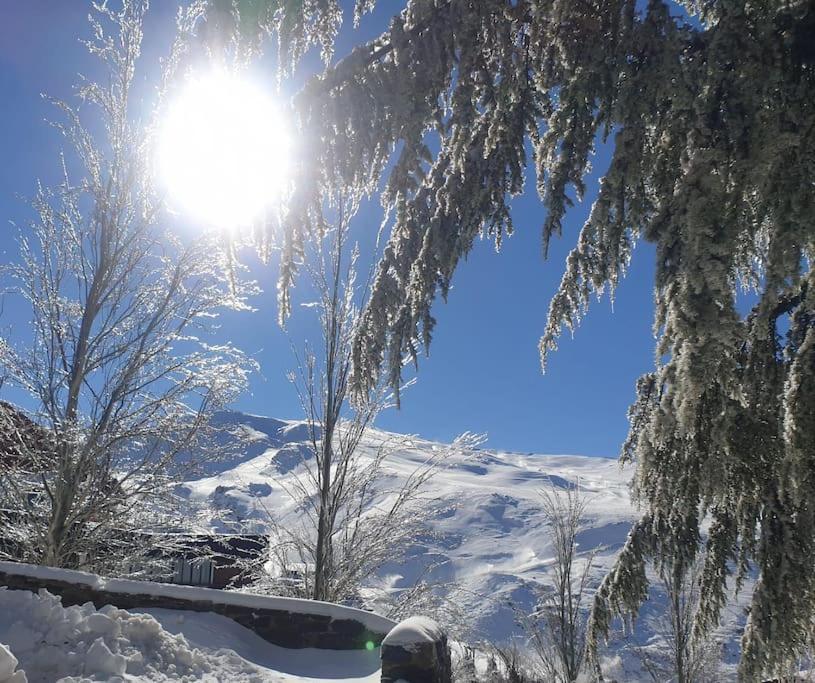 Sierra Nevada 2 Habitaciones Excelente Ubicacion Dış mekan fotoğraf